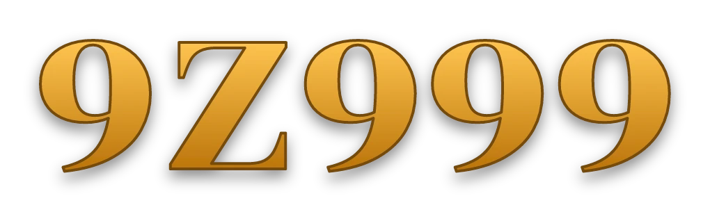9Z999 logo